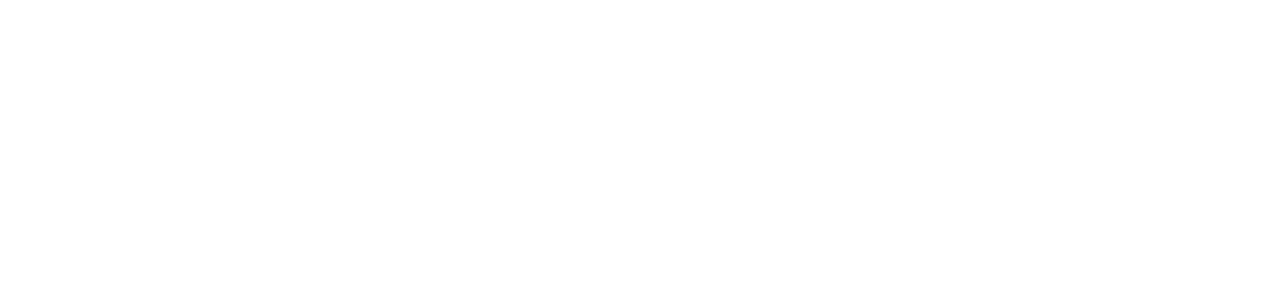 VitFlow